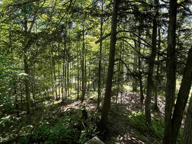 $299,900 | 826 Bousquet Road, Lowell, VT 05847