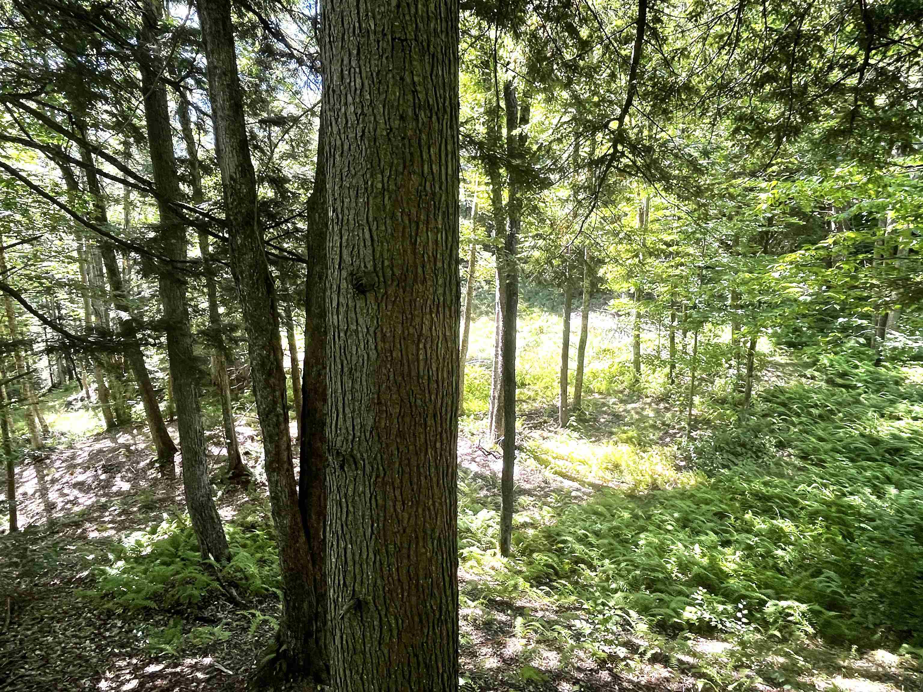 826 Bousquet Road Lowell, VT 05847 - Photo 48 of 57