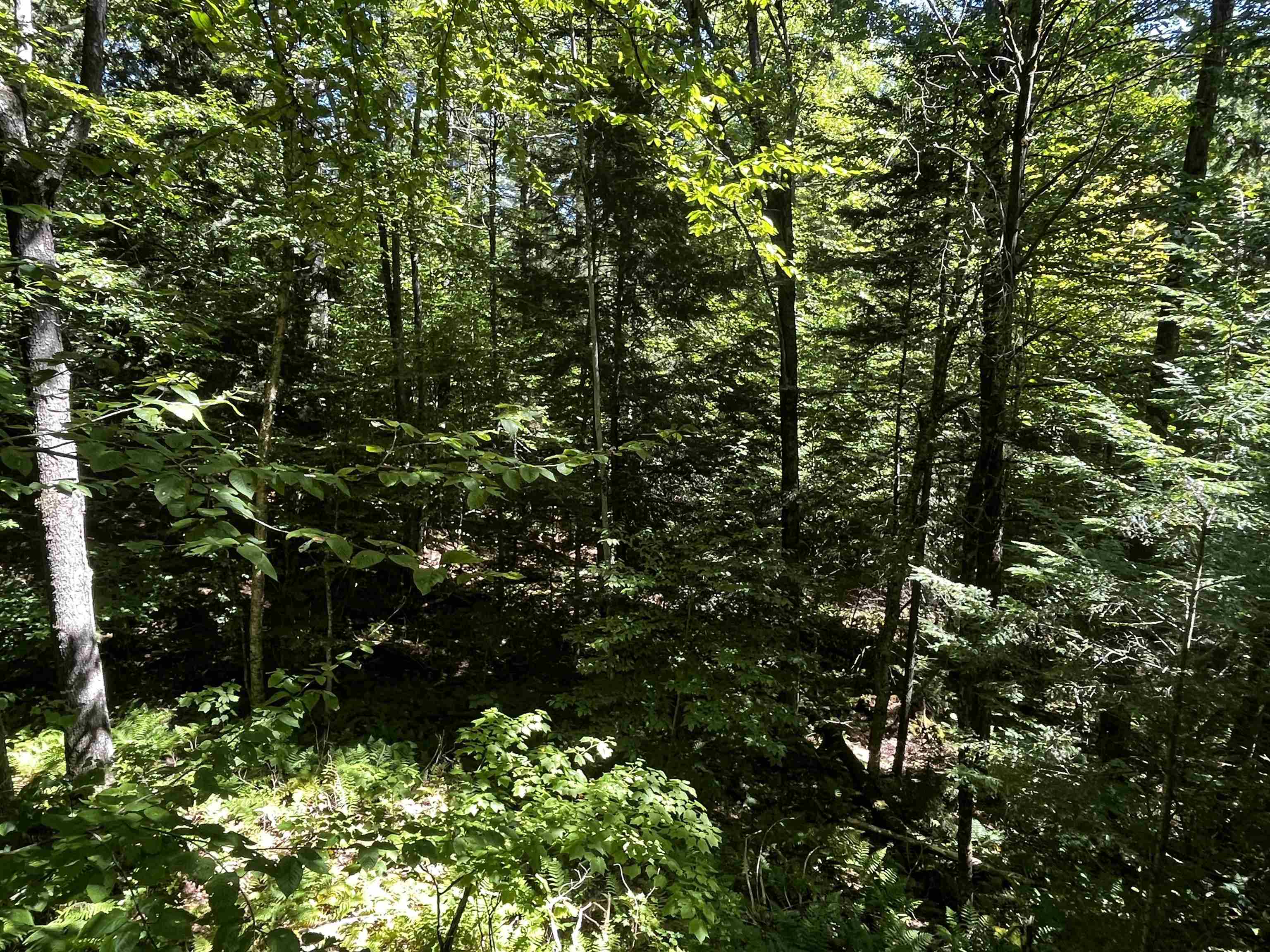 826 Bousquet Road Lowell, VT 05847 - Photo 49 of 57