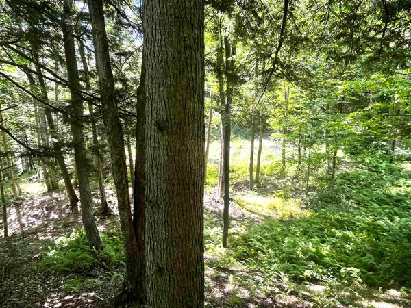 $250,000 | 826 Bousquet Road, Lowell, VT 05847