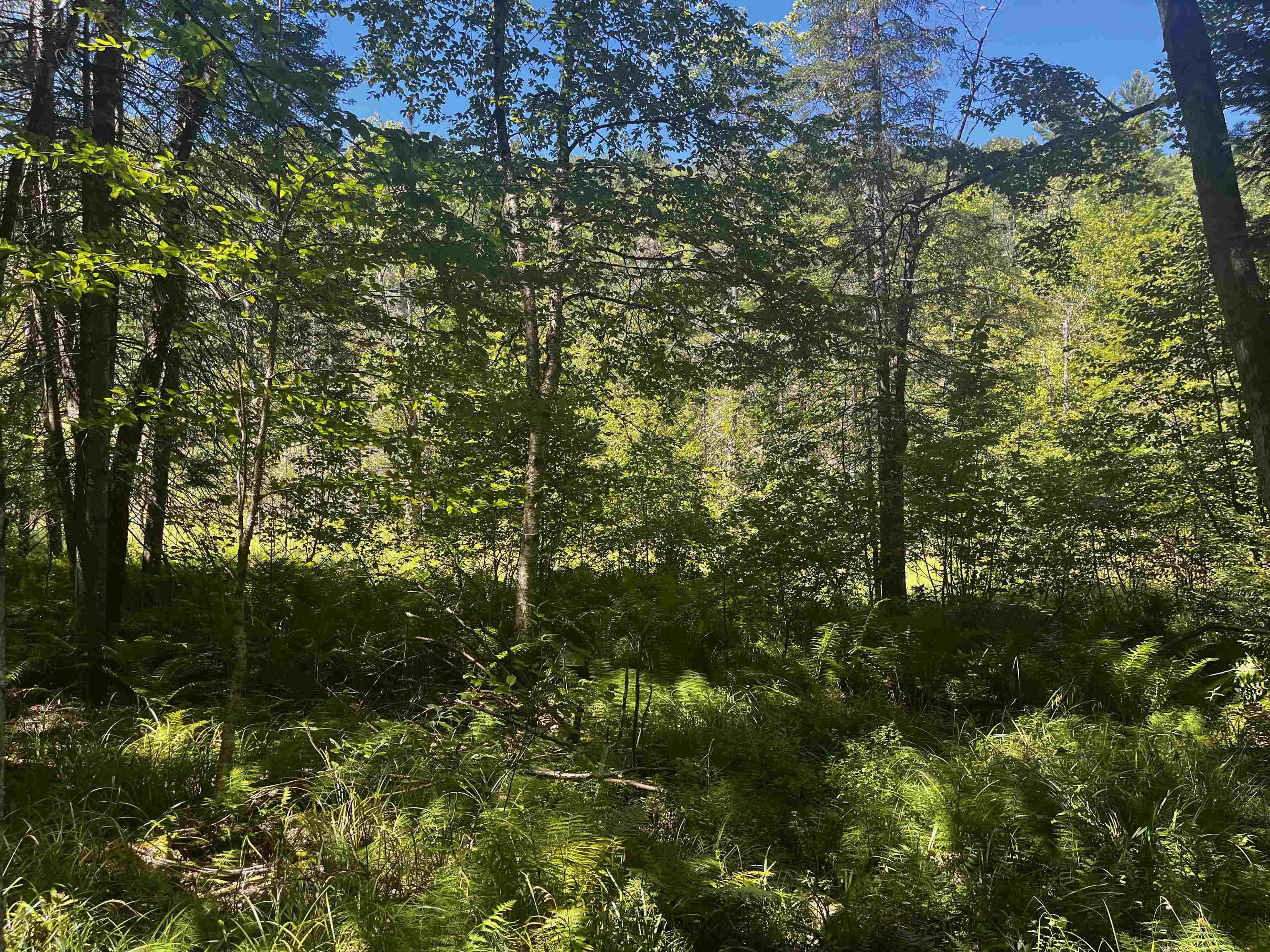 826 Bousquet Road Lowell, VT 05847 - Photo 50 of 57