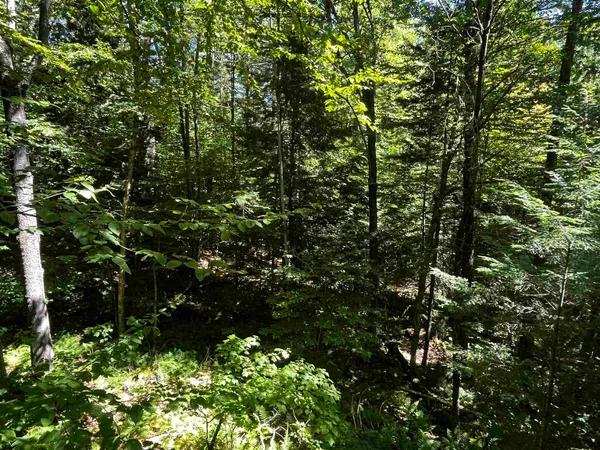 $250,000 | 826 Bousquet Road, Lowell, VT 05847