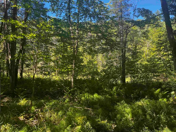 $250,000 | 826 Bousquet Road, Lowell, VT 05847