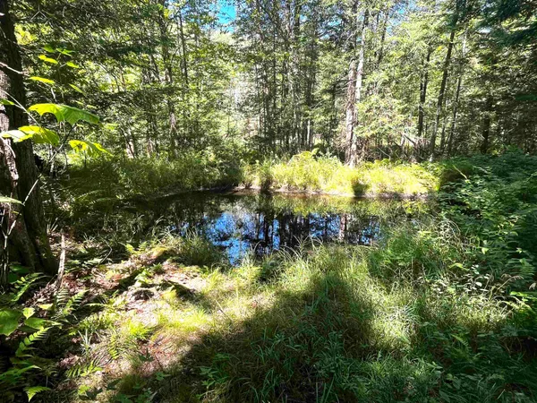 $250,000 | 826 Bousquet Road, Lowell, VT 05847