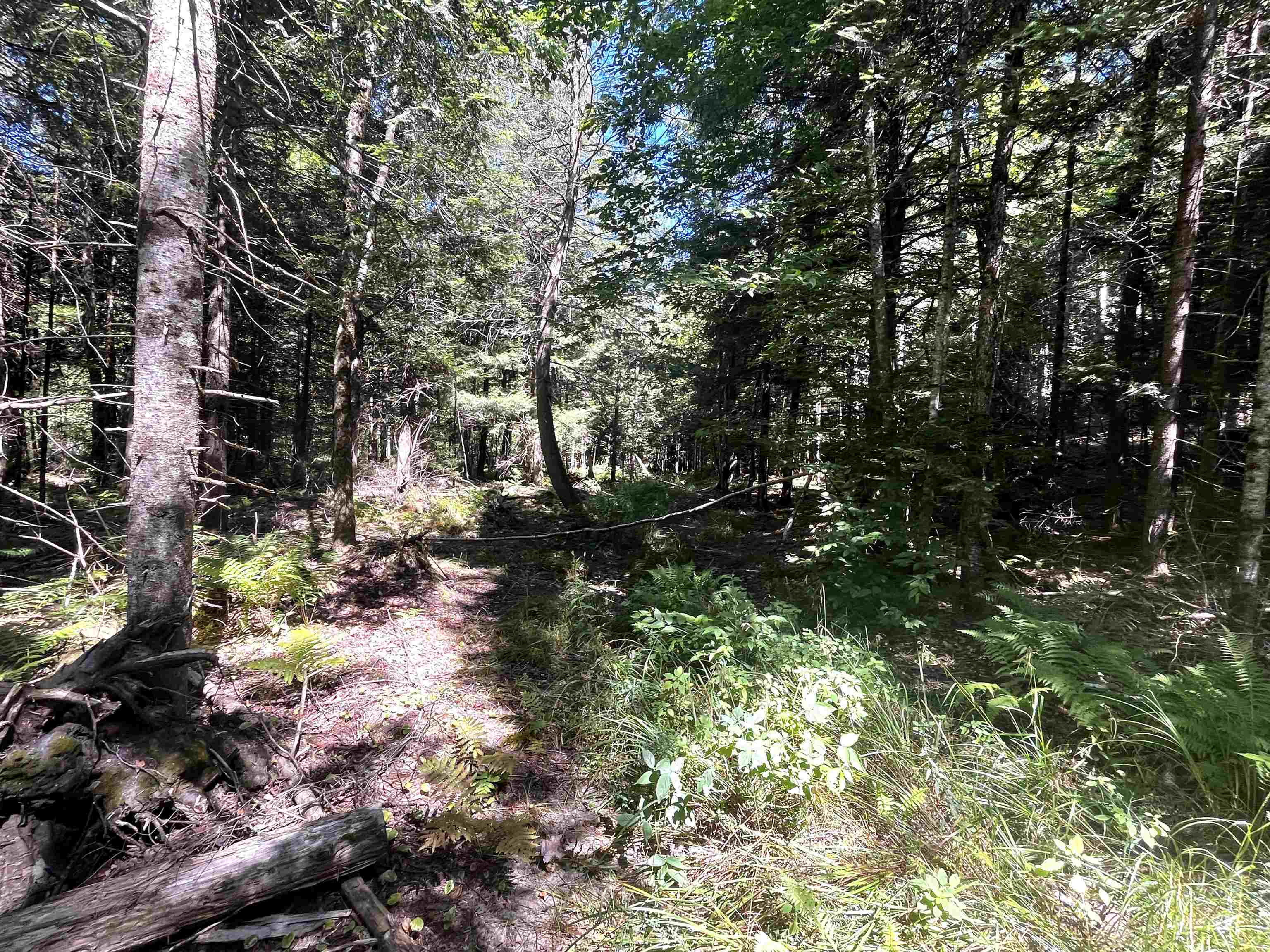 826 Bousquet Road Lowell, VT 05847 - Photo 53 of 57