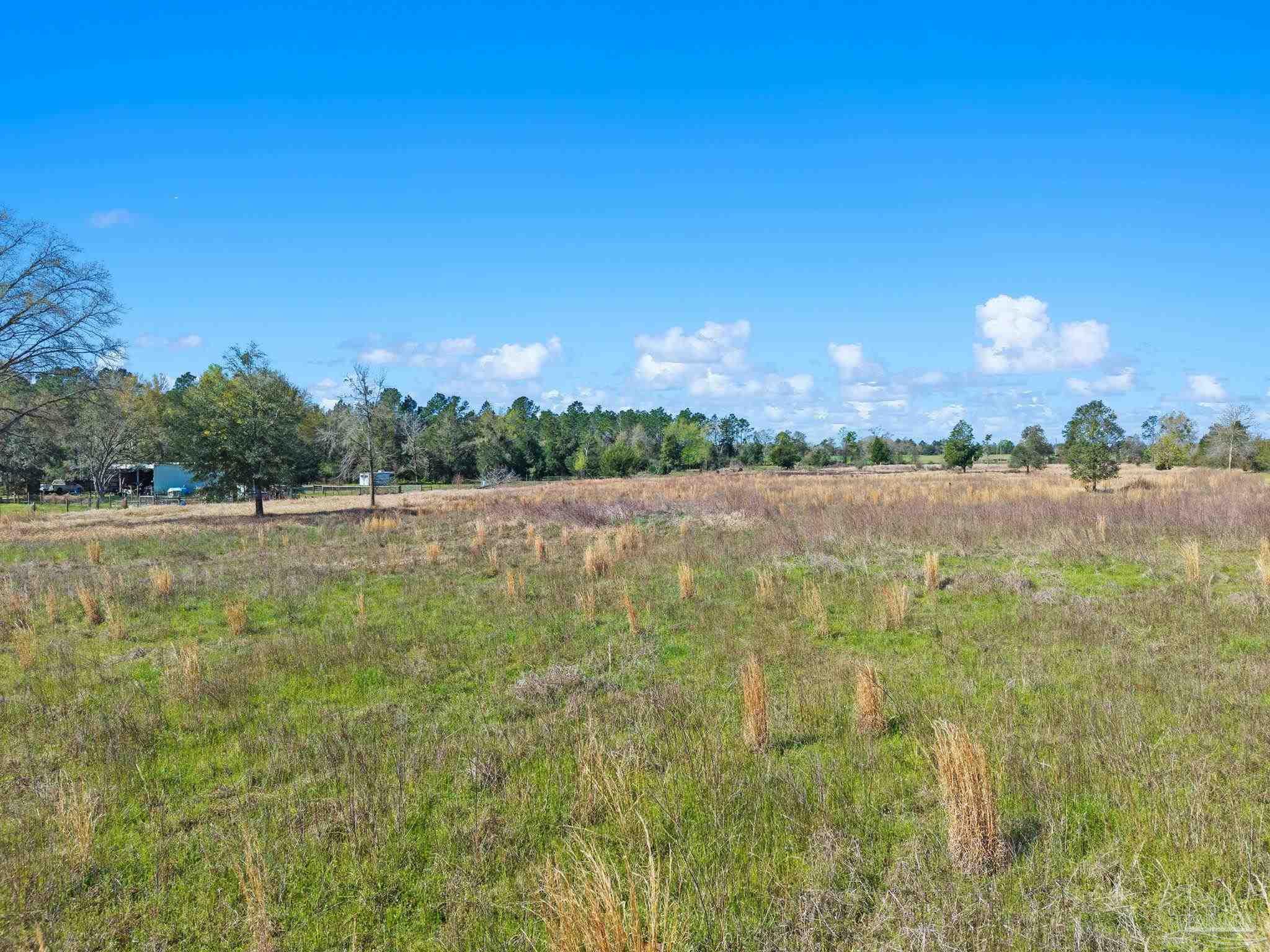 33951-33971 Lee Road Robertsdale, AL 36567 - Photo 12 of 26