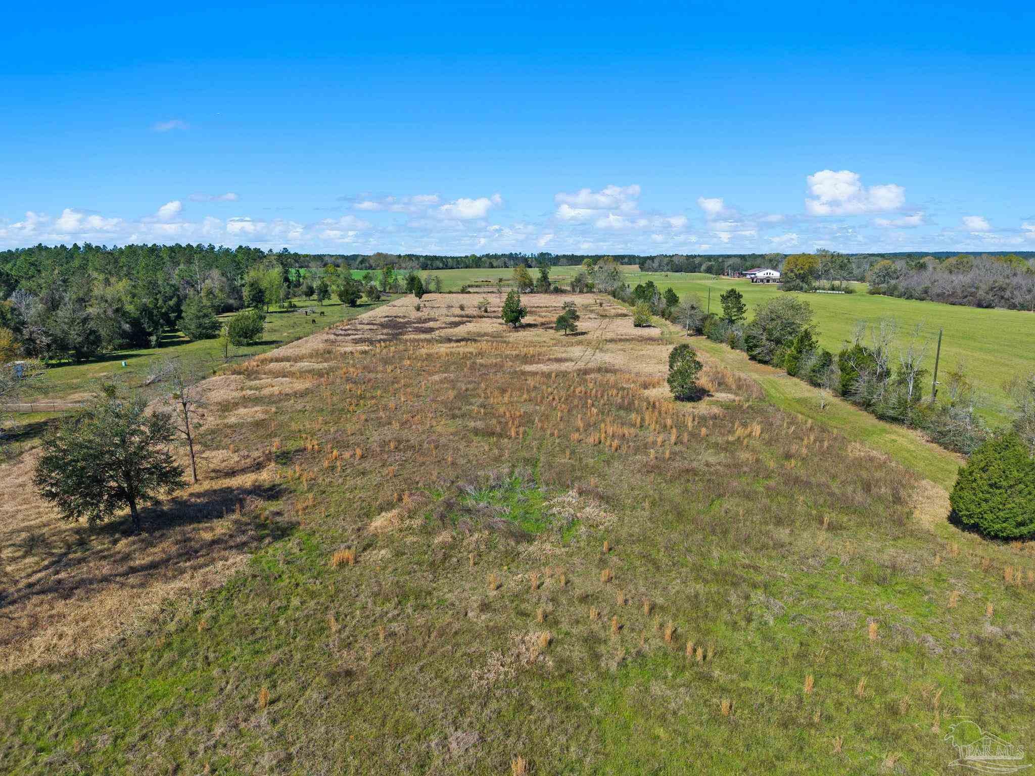 33951-33971 Lee Road Robertsdale, AL 36567 - Photo 16 of 26