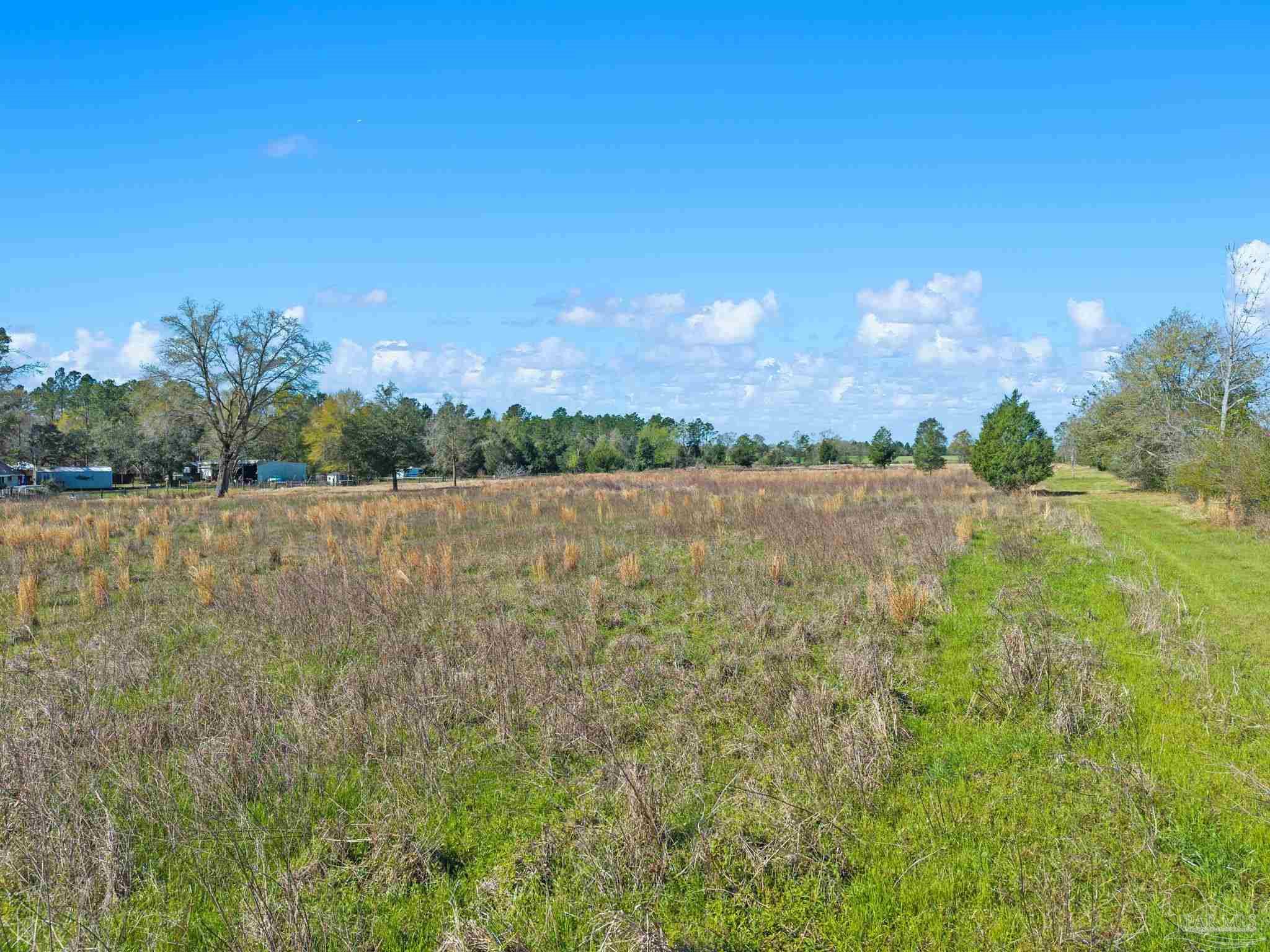 33951-33971 Lee Road Robertsdale, AL 36567 - Photo 9 of 26