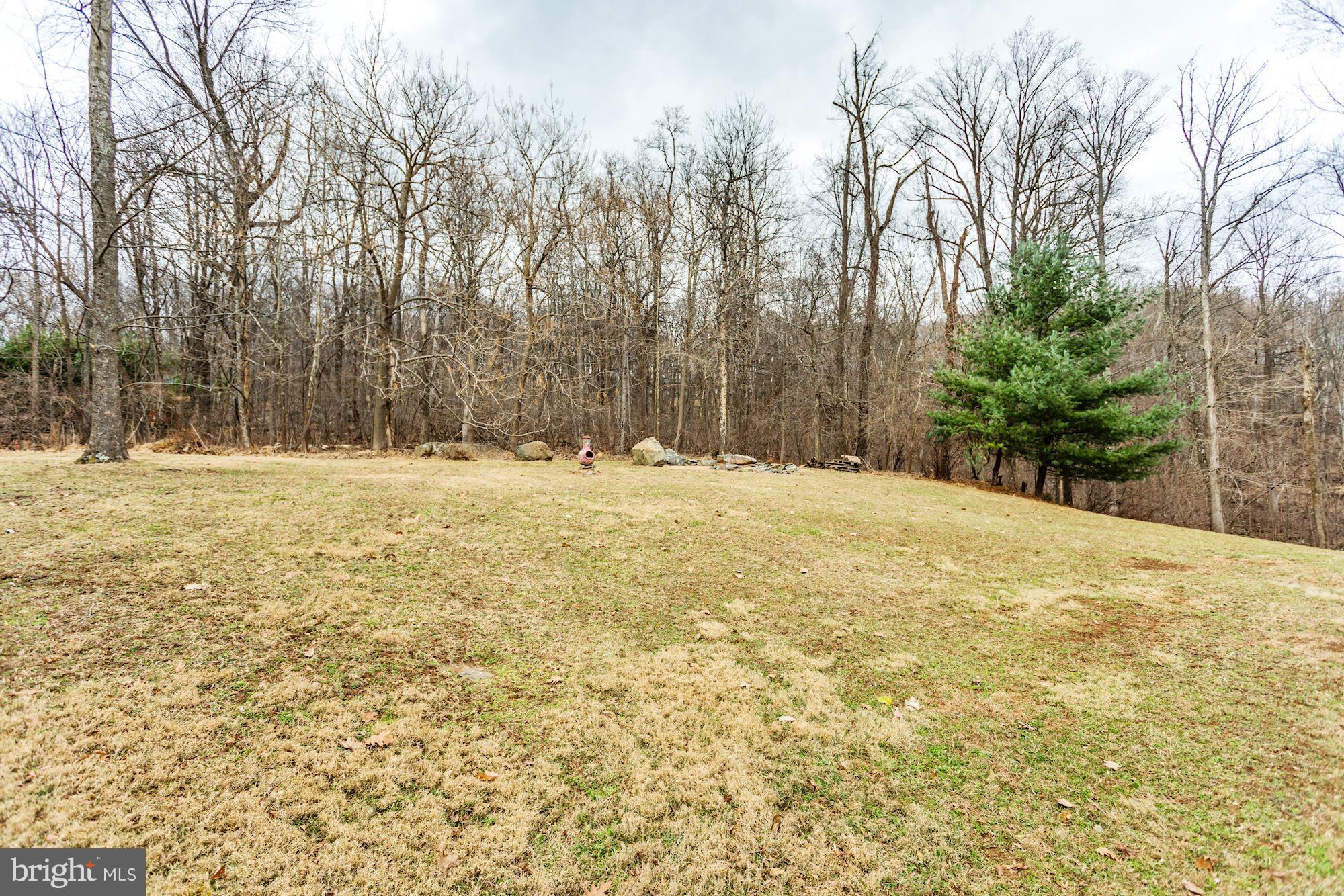 708 Wilderness Road Linden, VA 22642 - Photo 42 of 67 Gallery Image 42