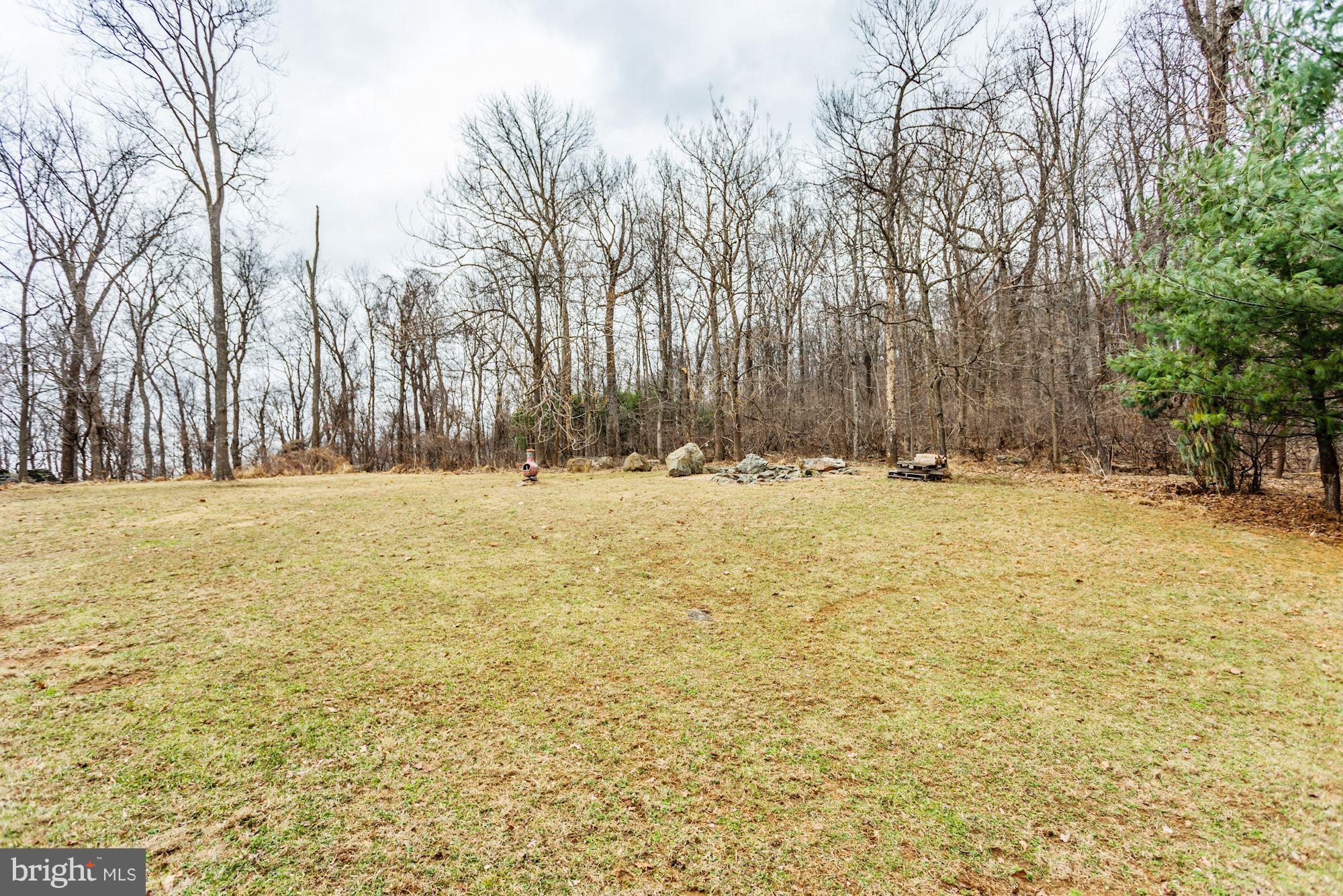 708 Wilderness Road Linden, VA 22642 - Photo 43 of 67 Gallery Image 43