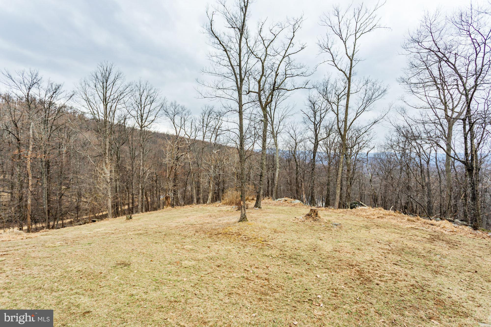 708 Wilderness Road Linden, VA 22642 - Photo 54 of 67 Gallery Image 54