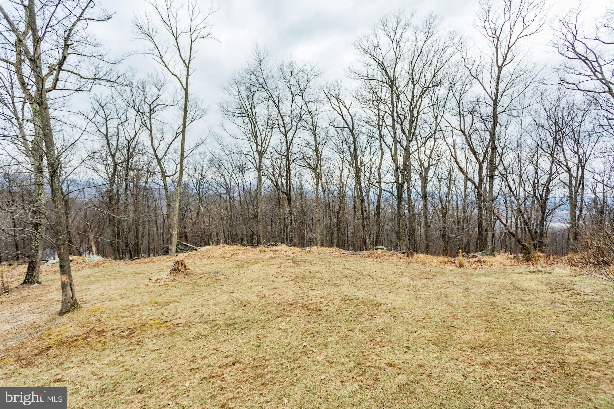 708 Wilderness Road Linden, VA 22642 - Photo 55 of 67 Gallery Image 55
