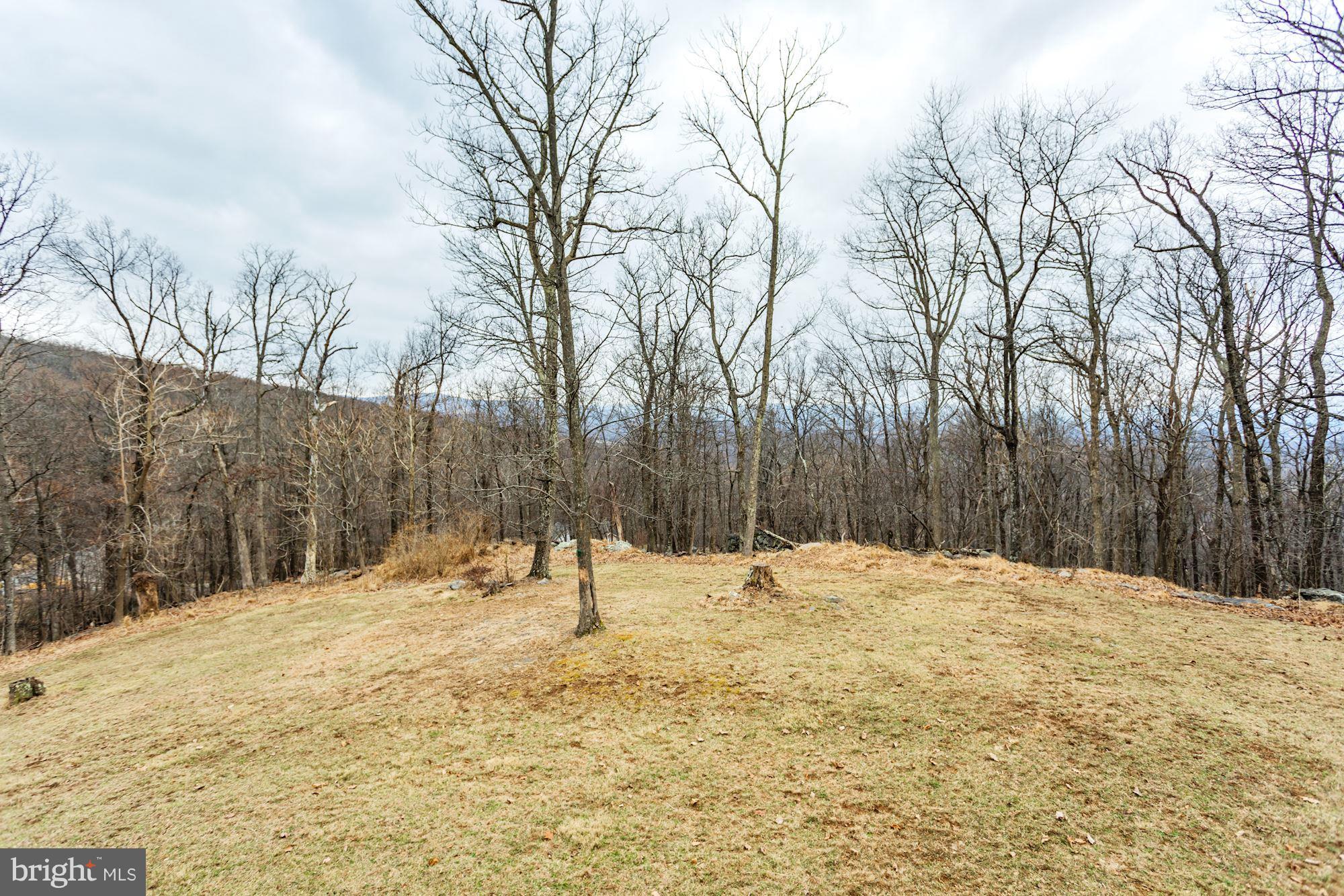 708 Wilderness Road Linden, VA 22642 - Photo 56 of 67 Gallery Image 56