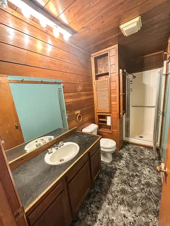 a bathroom with a granite countertop sink toilet and shower