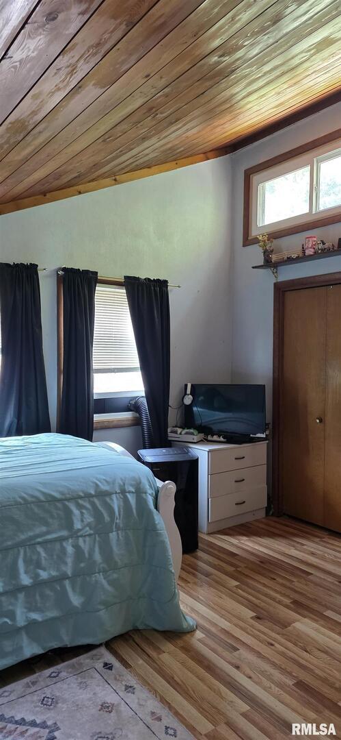 2211 613th Avenue Sabula, IA 52070 - Photo 33 of 55