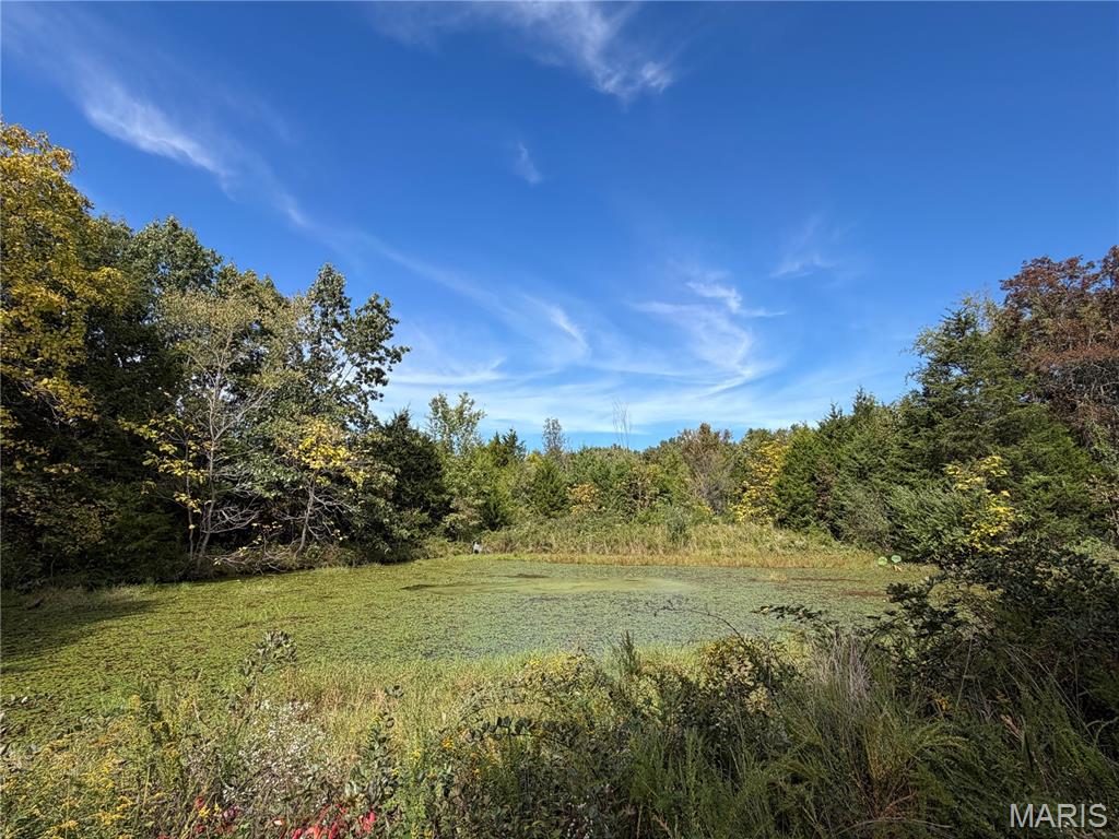 797 Rohrer Road Bourbon, MO 65441 - Photo 4 of 52 Gallery Image 4