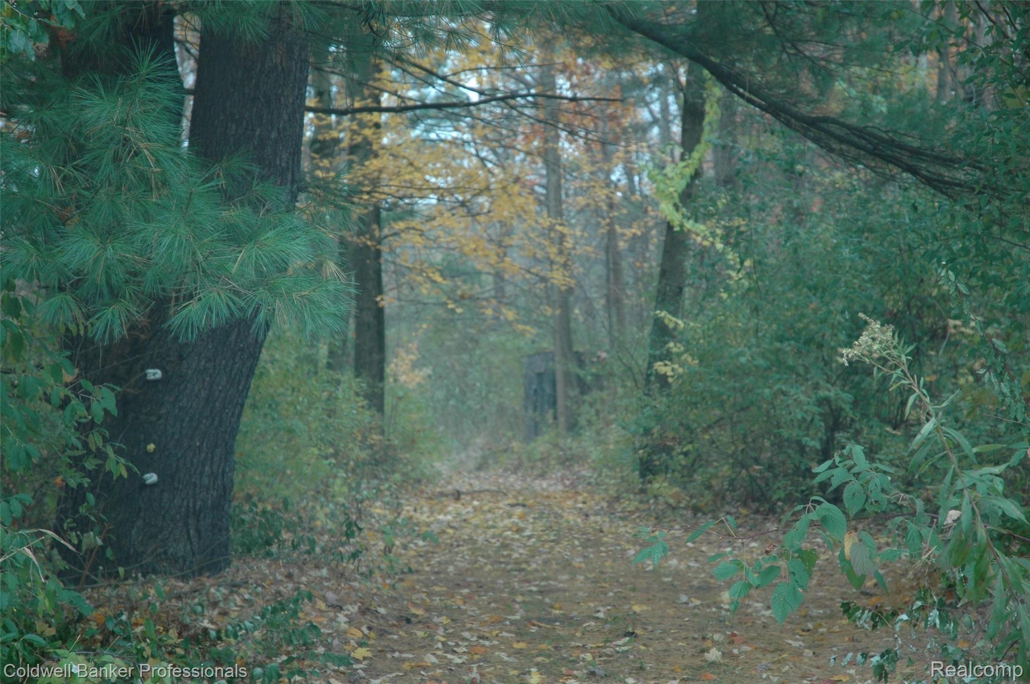 3661 North Lapeer Road Lapeer, MI 48446 - Photo 26 of 28 036.JPG