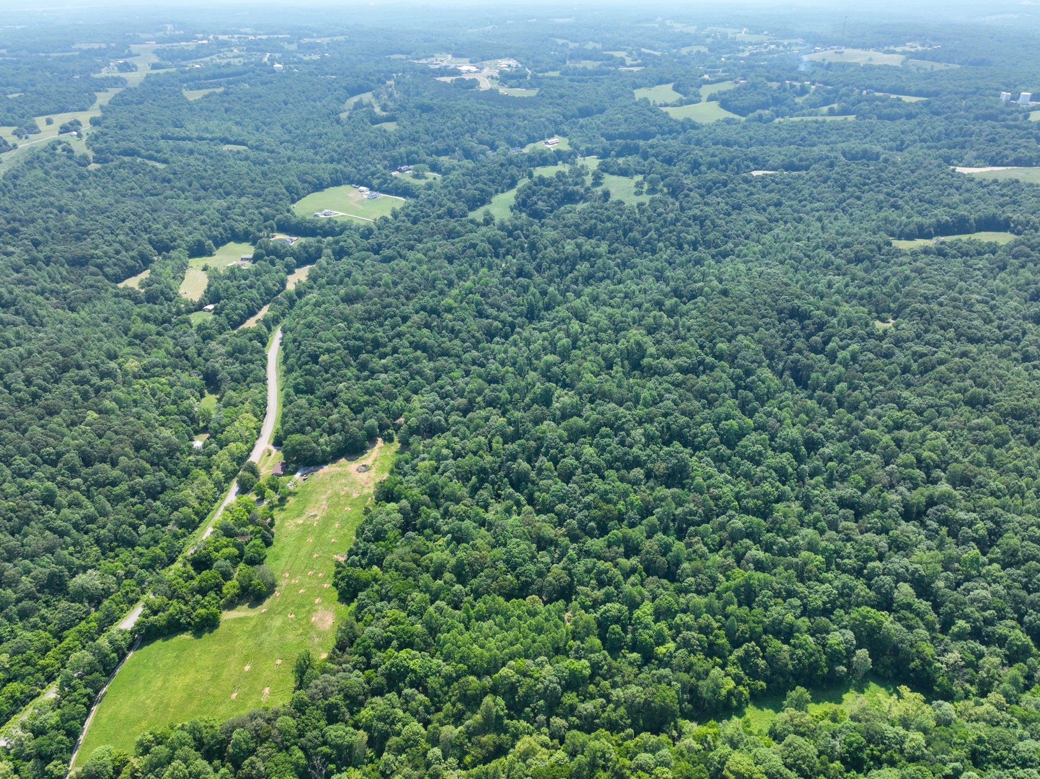 3822 Vernon Creek Road Cunningham, TN 37052 - Photo 15 of 24 a view of a forest that has a tree