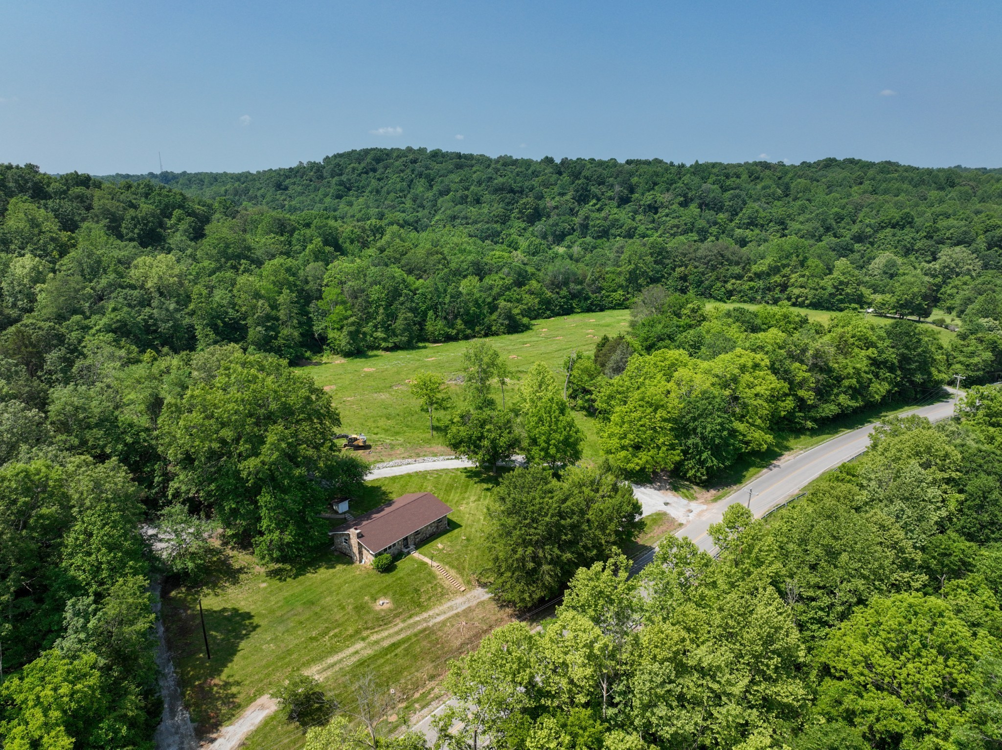 3822 Vernon Creek Road Cunningham, TN 37052 - Photo 3 of 24 a view of a lush green forest with lots of trees