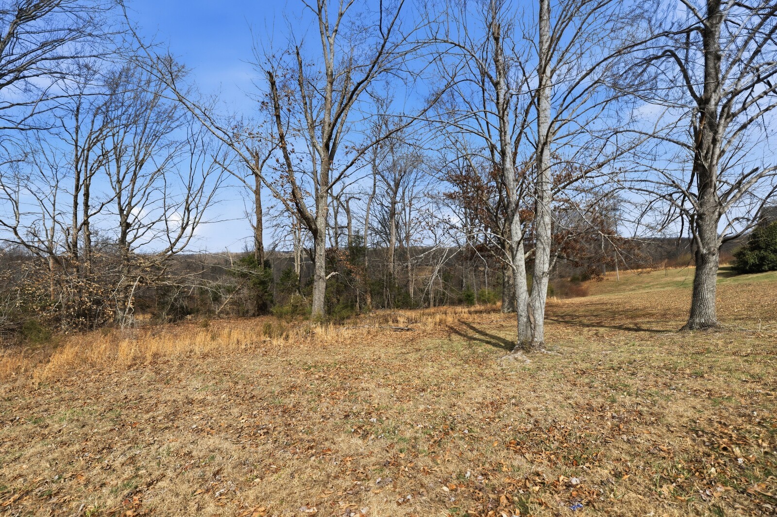 0 Murrell Road Dickson, TN 37055 - Photo 3 of 19