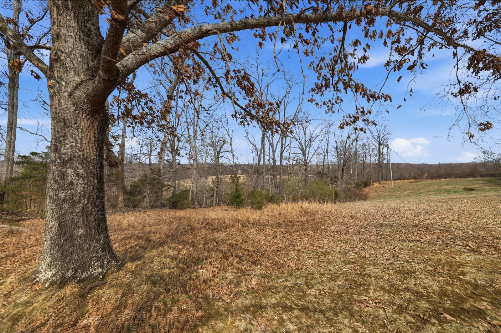 0 Murrell Road Dickson, TN 37055 - Photo 5 of 19