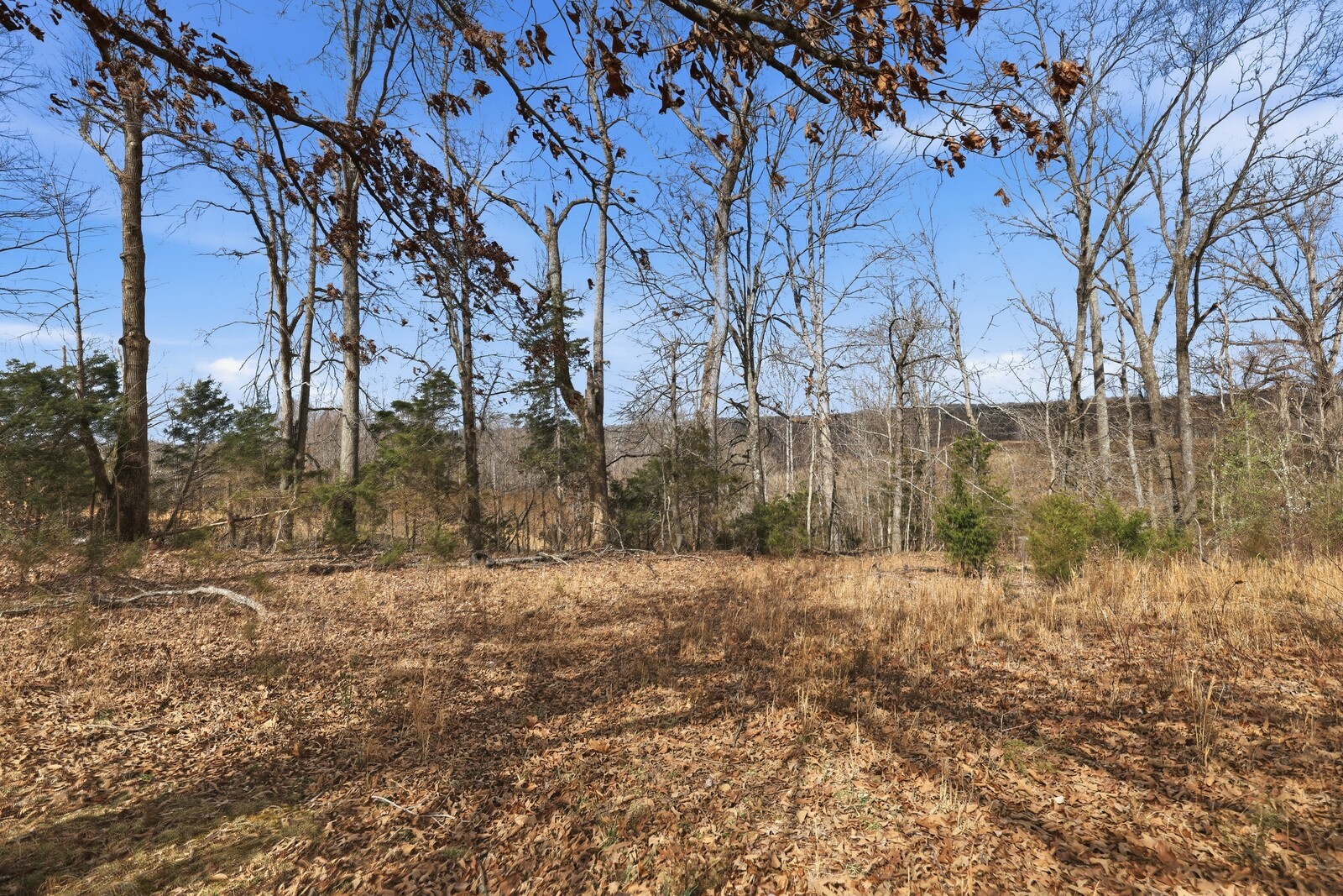 0 Murrell Road Dickson, TN 37055 - Photo 6 of 19