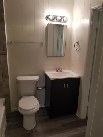 a bathroom with a sink vanity and toilet