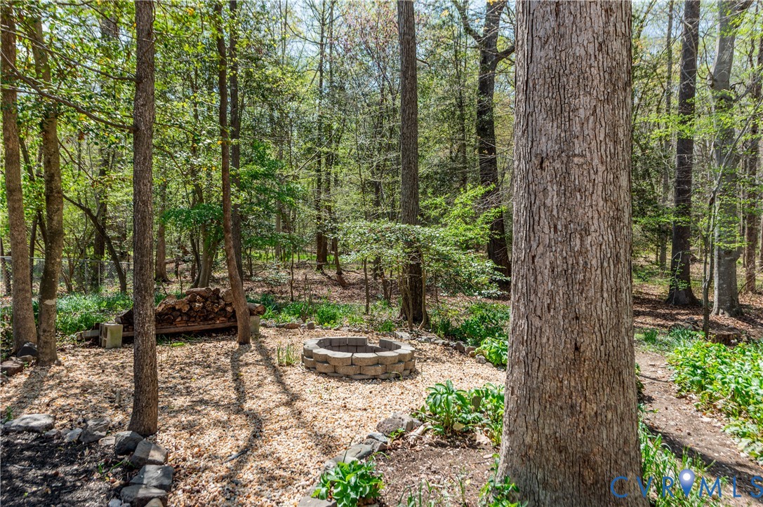 1318 Unison Drive Midlothian, VA 23113 - Photo 45 of 47 a view of a back yard