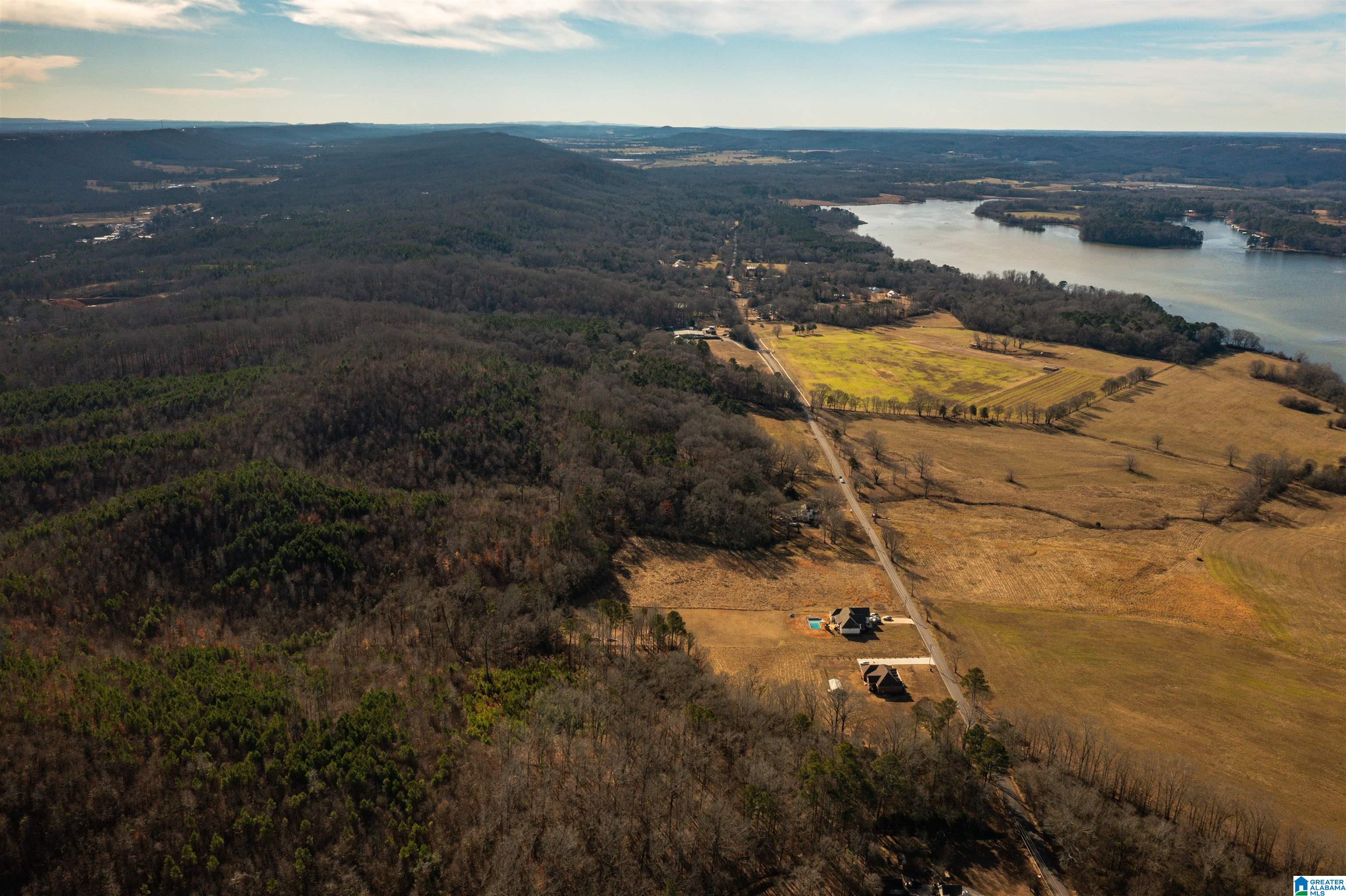 0 Browns Valley Road Guntersville, AL 35976 - Photo 27 of 39