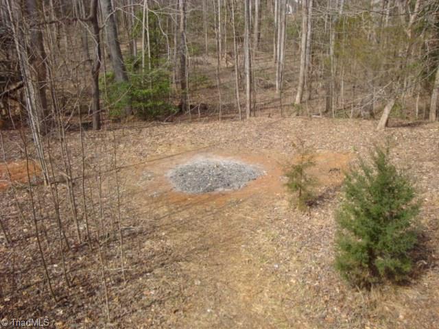 1500 High Rock Road Browns Summit, NC 27214 - Photo 11 of 26 Acreage