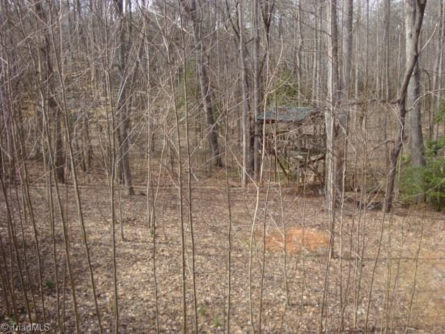 1500 High Rock Road Browns Summit, NC 27214 - Photo 12 of 26 Acreage