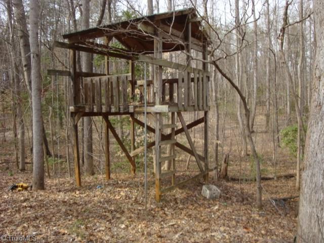 1500 High Rock Road Browns Summit, NC 27214 - Photo 23 of 26 Tree Fort