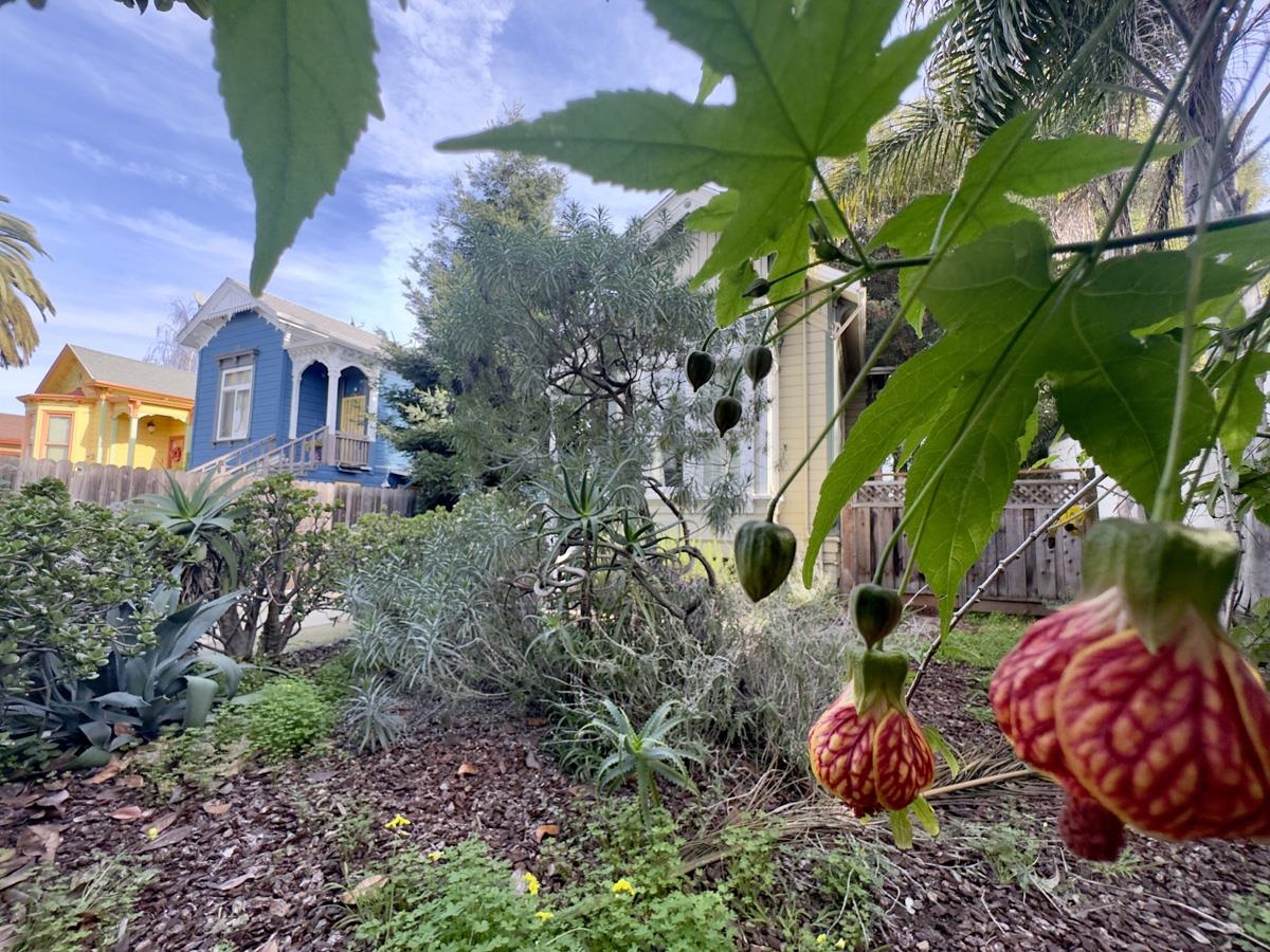 1022 Chestnut Street Oakland, CA 94607 - Photo 35 of 60 View of yard