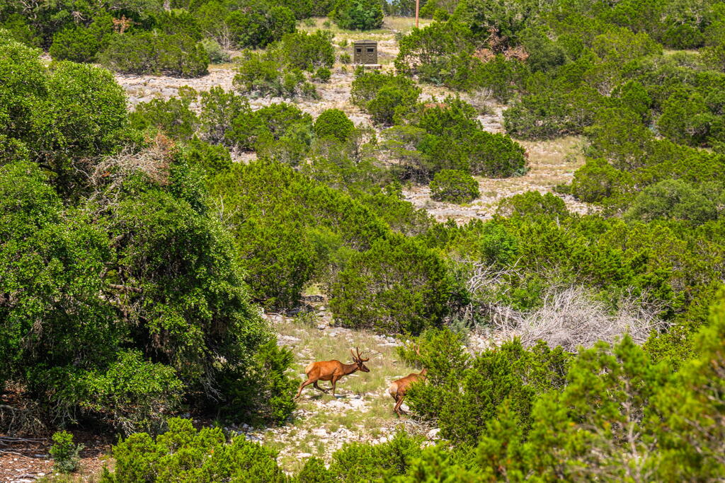 11797 Hackberry Road Barksdale, TX 78828 - Photo 29 of 35 Gallery Image 29