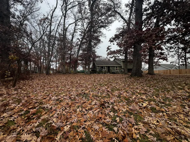 a view of a backyard with large trees