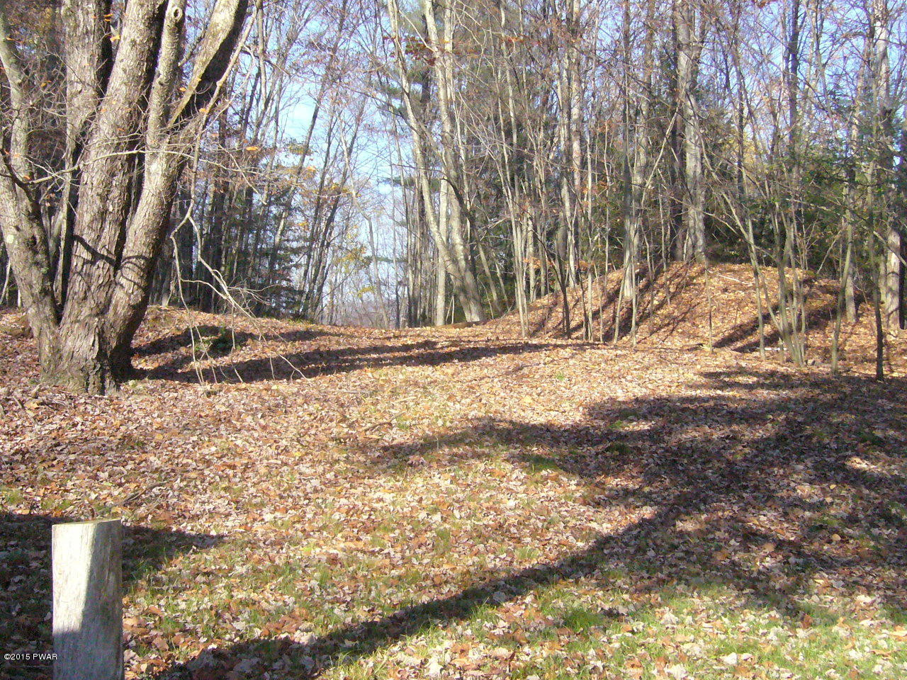 215 O And W Road Fishs Eddy, NY 13774 - Photo 15 of 43 Gallery Image 15
