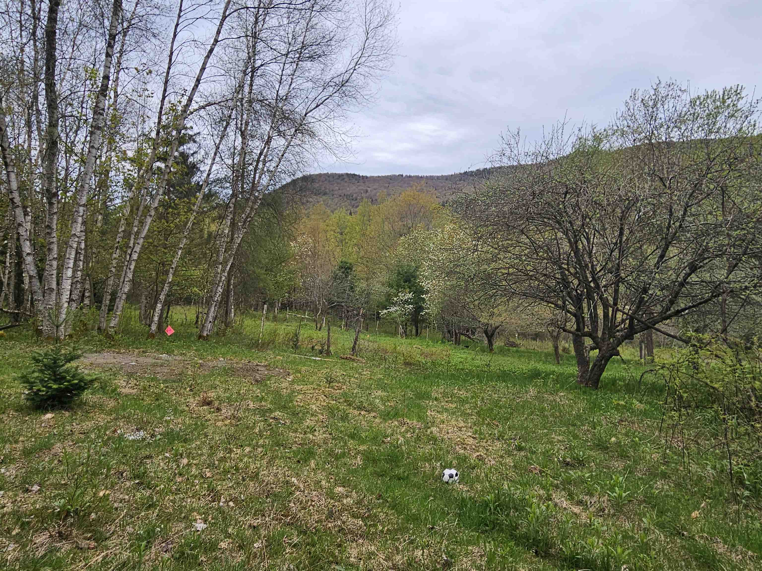 2 Lapland Road Waterville, VT 05492 - Photo 3 of 3