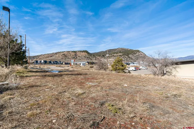 a view of a dry yard with wooden fence