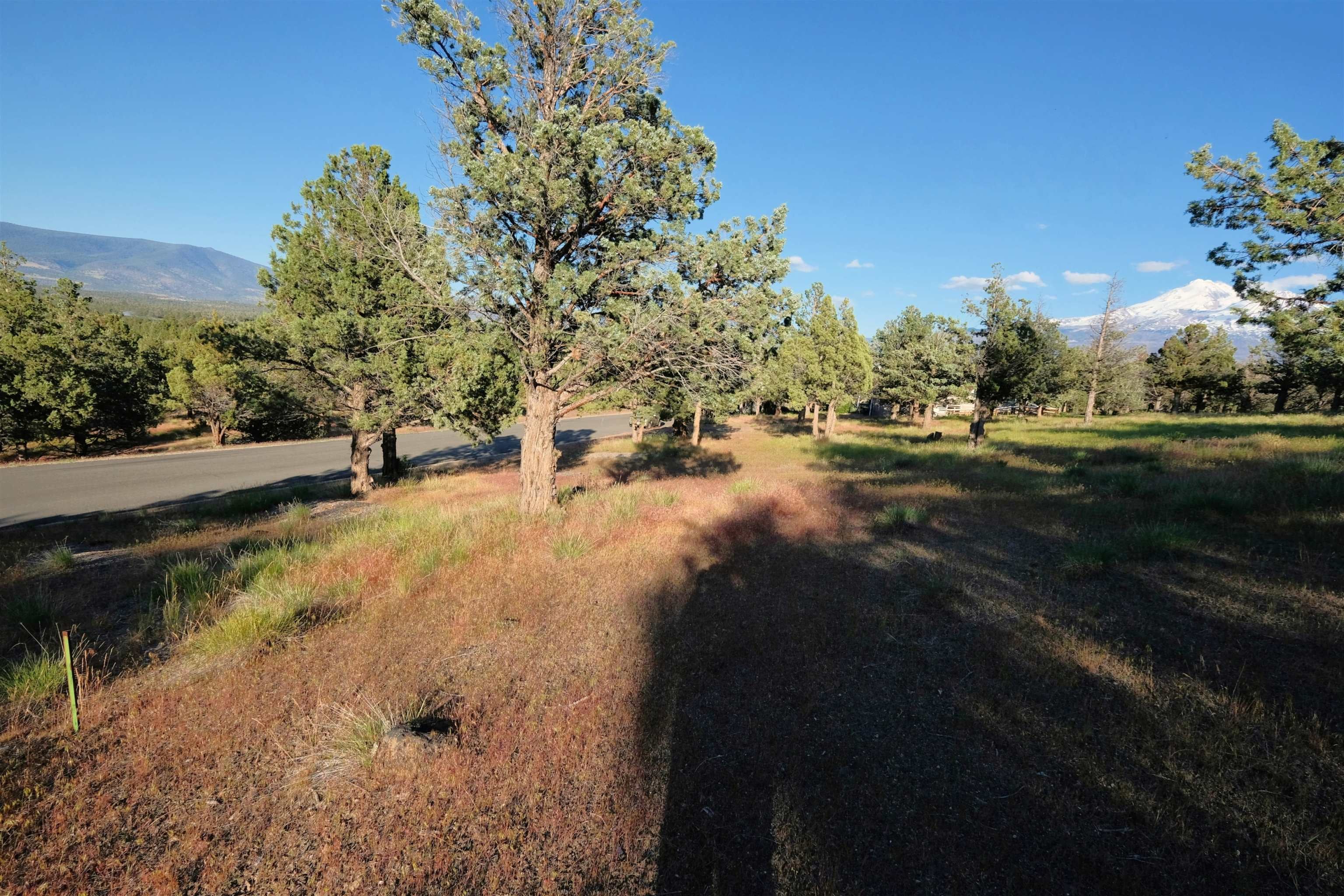 9-1 Unit Road Weed, CA 96094 - Photo 8 of 30 Gallery Image 8