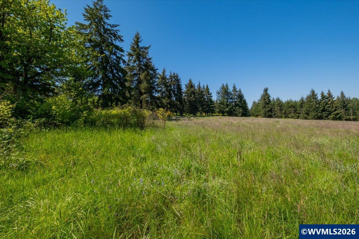 201552 Orchard Tract Road Monroe, OR 97456 - Photo 13 of 19