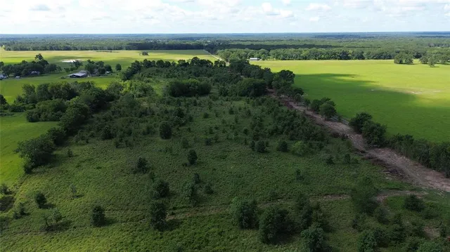 a view of a city with lots of trees
