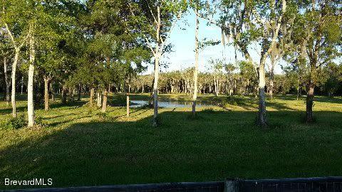 3455 Hammock Road Mims, FL 32754 - Photo 48 of 58 3455 Hammock