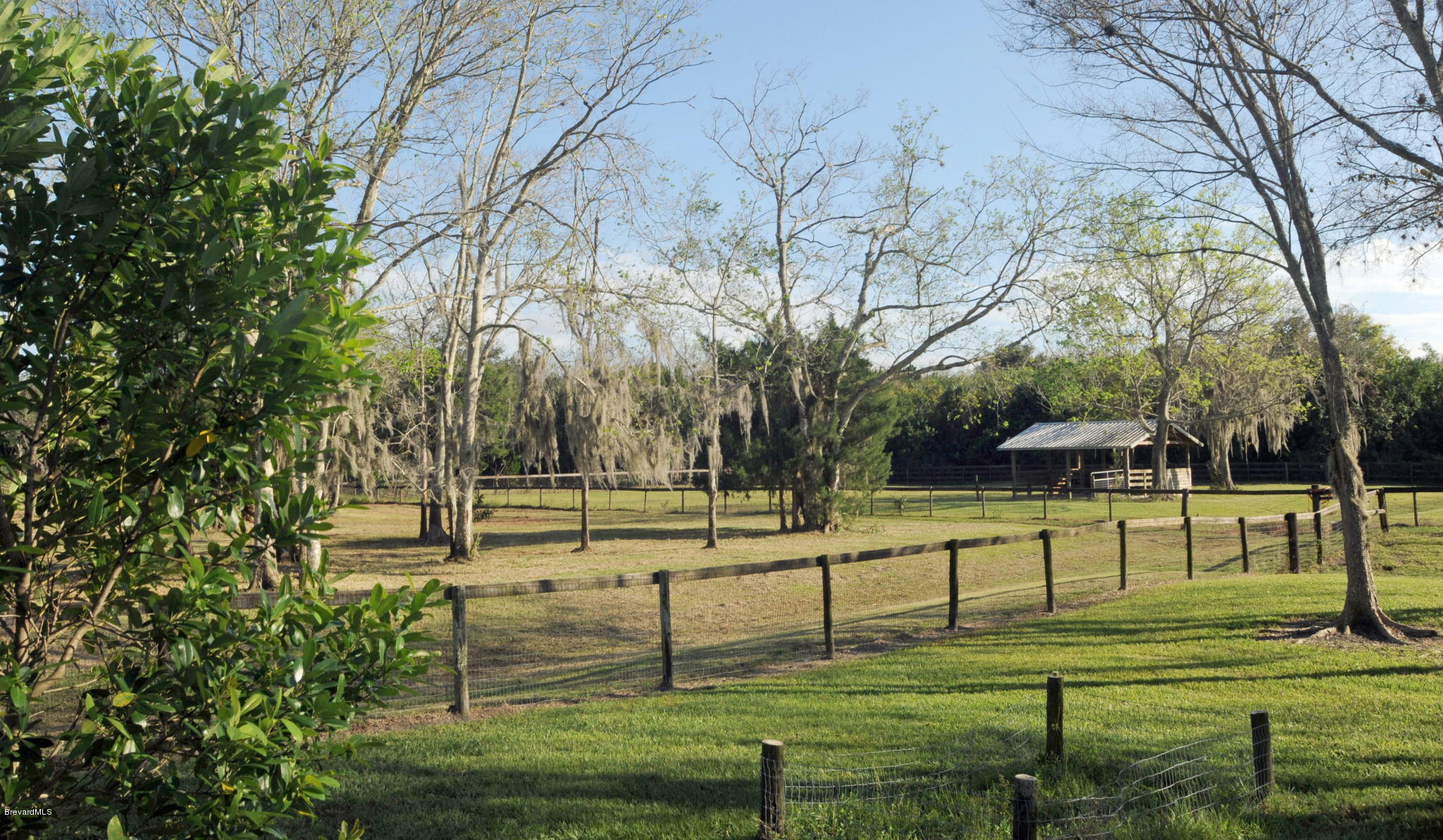 3455 Hammock Road Mims, FL 32754 - Photo 53 of 58 3455 Hammock