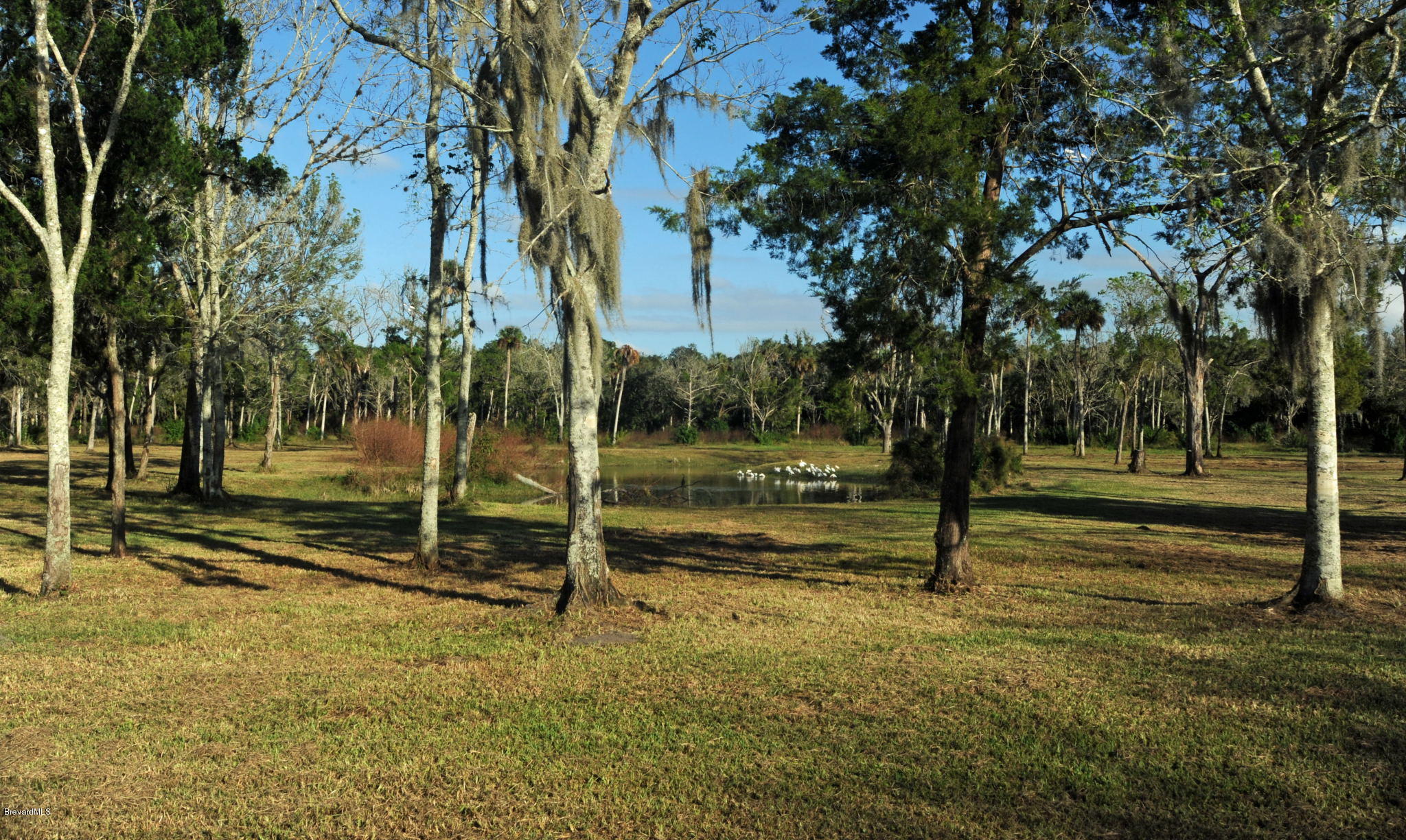 3455 Hammock Road Mims, FL 32754 - Photo 57 of 58 3455 Hammock 4