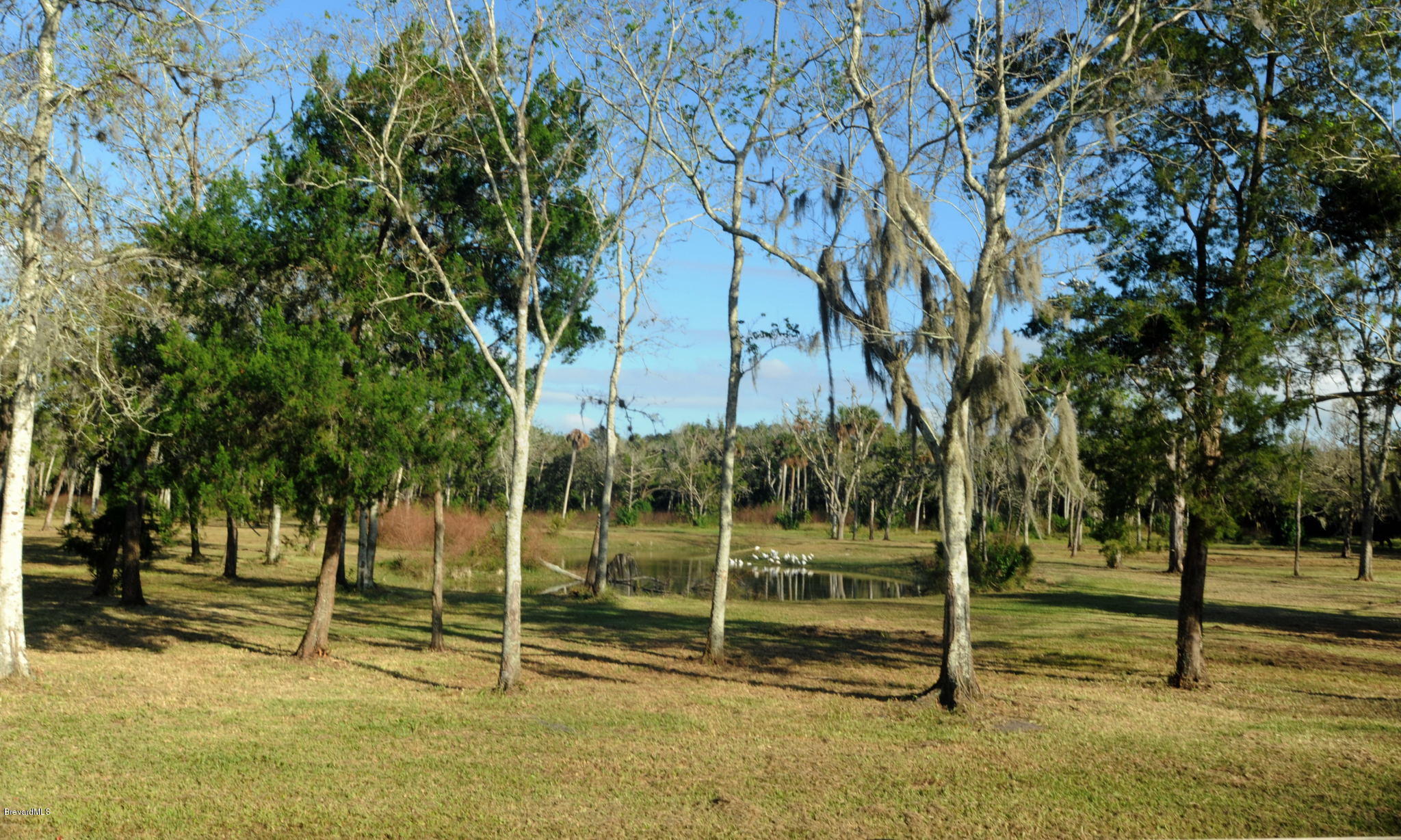 3455 Hammock Road Mims, FL 32754 - Photo 58 of 58 3455 Hammock 5