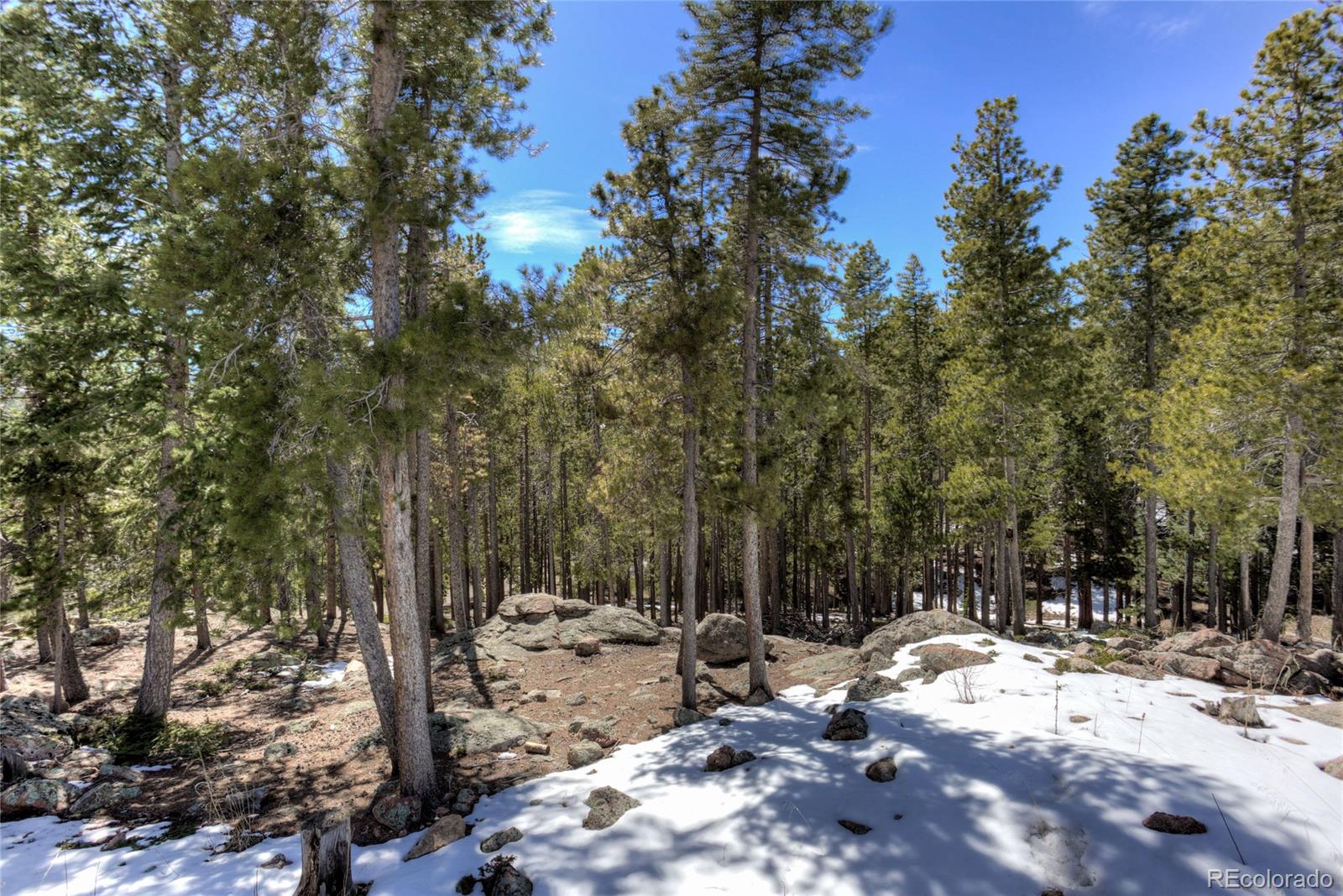 8431 South Warhawk Road Conifer, CO 80433 - Photo 14 of 29 Gallery Image 14