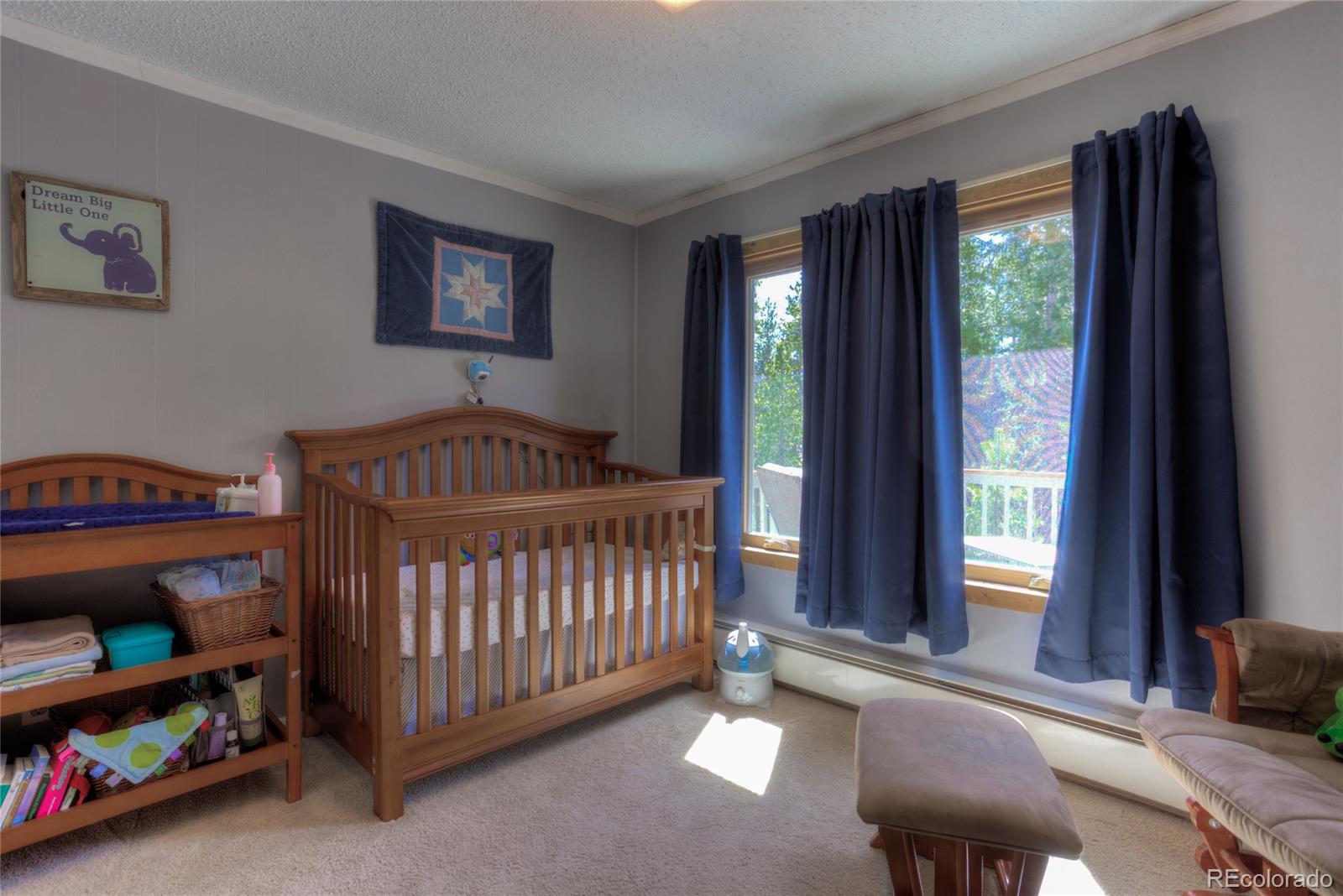 8431 South Warhawk Road Conifer, CO 80433 - Photo 18 of 29 Gallery Image 18