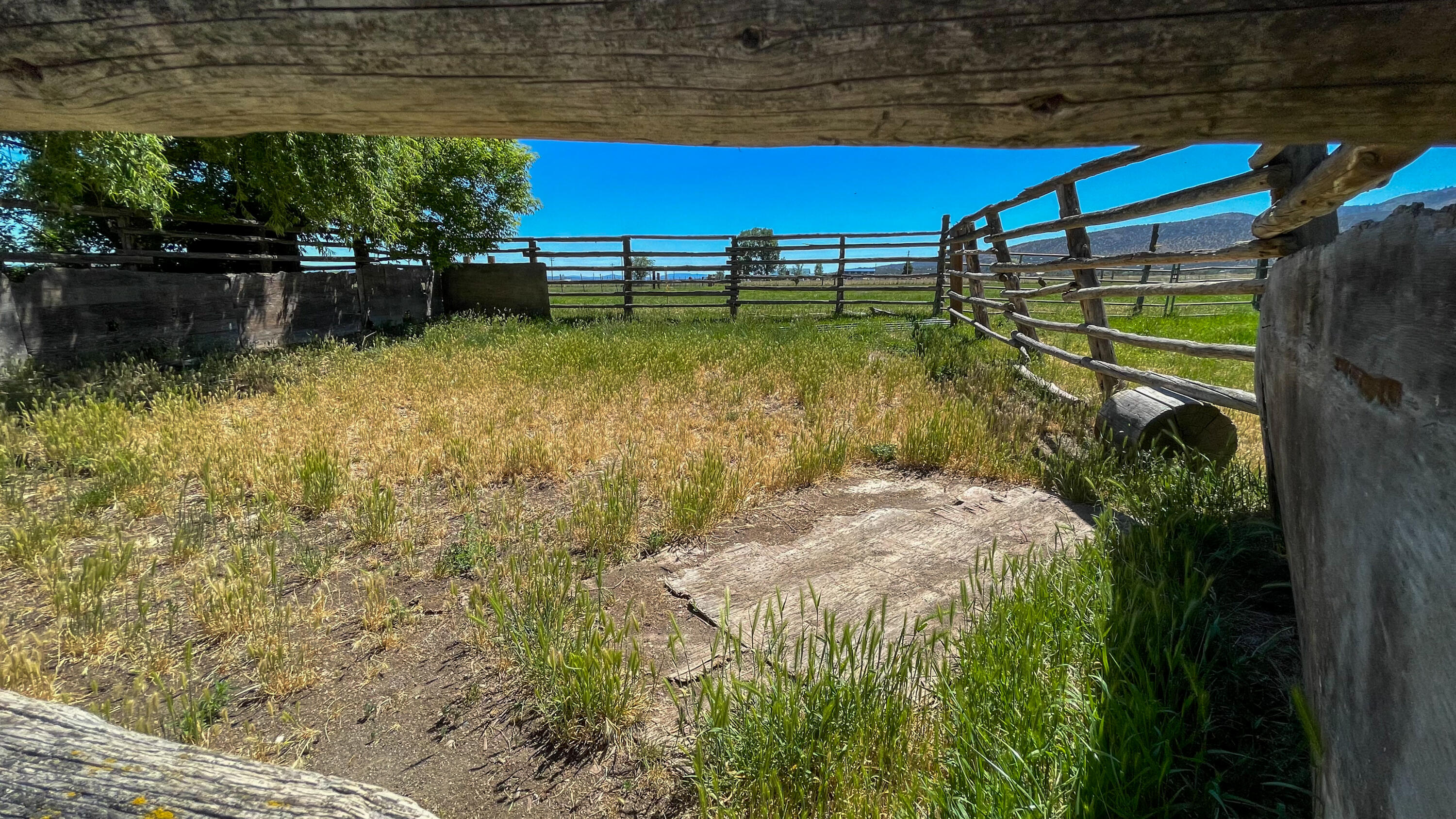 14212 Southwest Riggs Road Powell Butte, OR 97753 - Photo 7 of 48 corrals