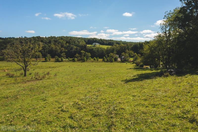 Tbd Laurel Branch Road Northwest Floyd, VA 24091 - Photo 18 of 22 Gallery Image 18