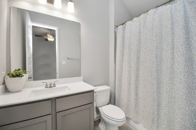 a bathroom with a sink a toilet and shower curtain